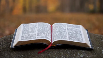 10 Easy Bible Study Topics for Everyday Life