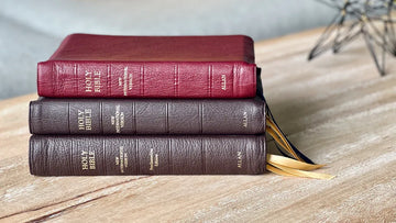 Best Bible study reference books