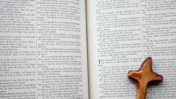 Complete List of Bible Books and Their Verse Counts for 2026