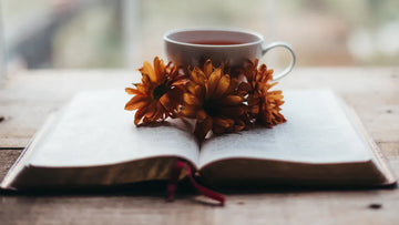 How to choose the best affordable religious books for beginners in the Netherlands
