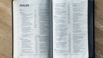 explore the Bible Book collection