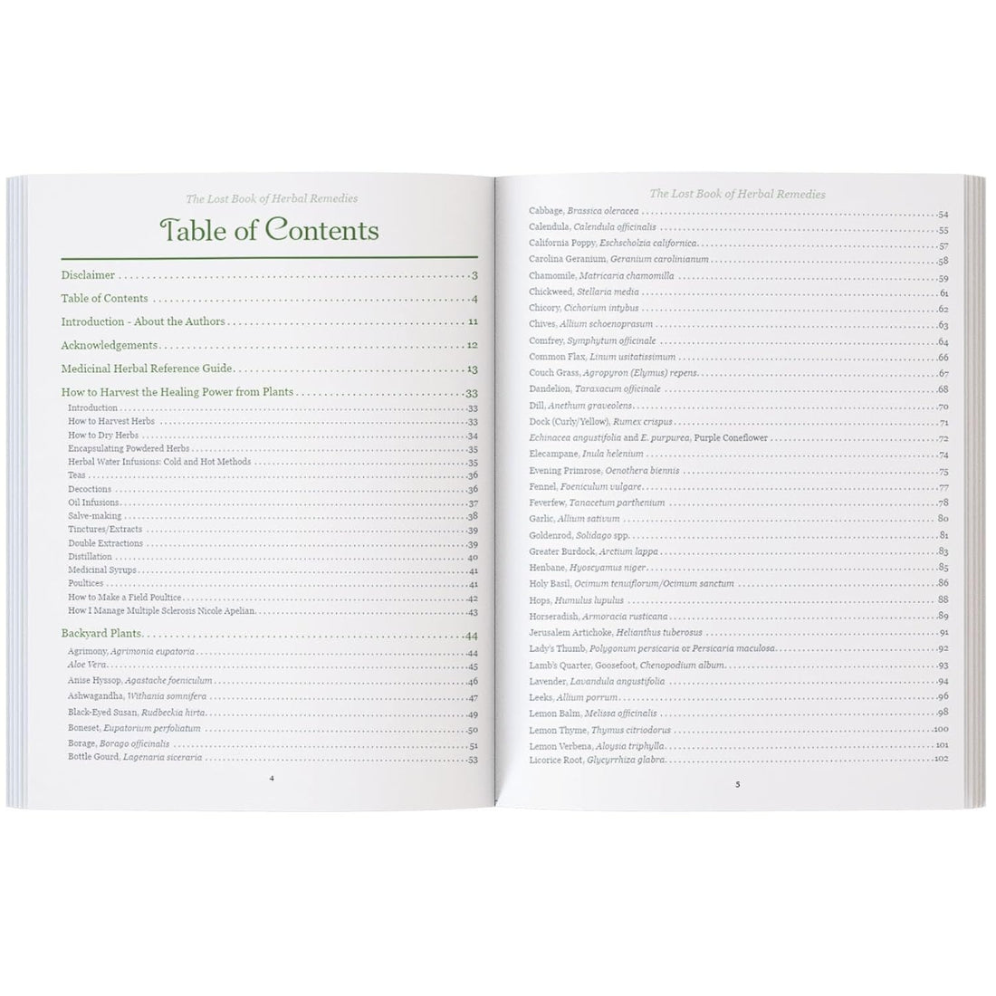 The Lost Book of Herbal Remedies: The Healing Power of Plant Medicine